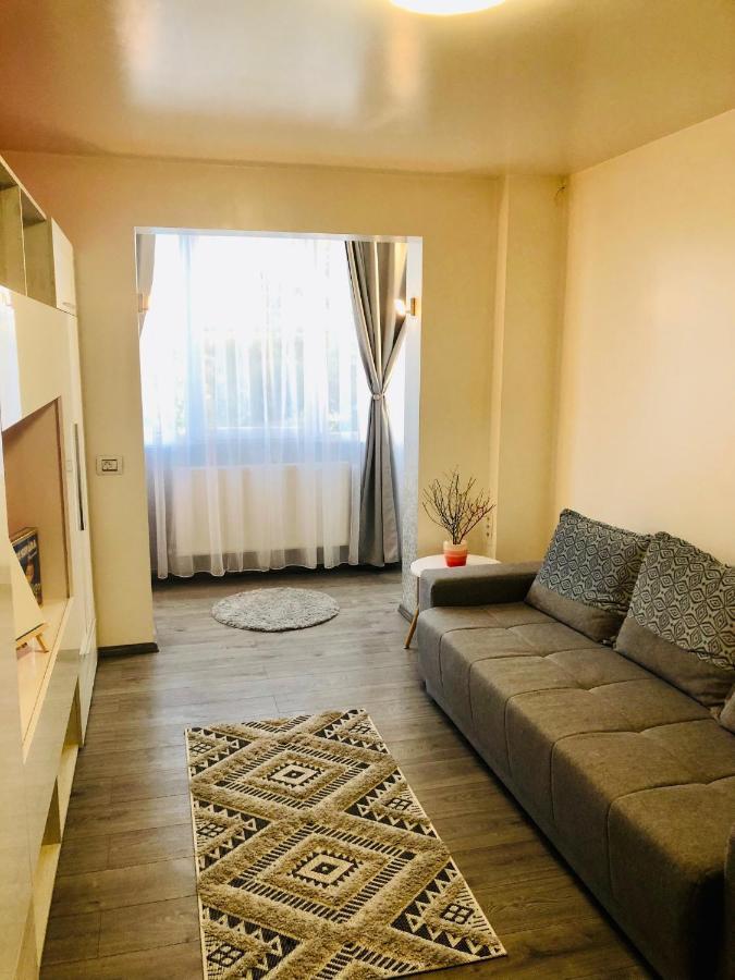 Modern Apartment In A Quiet Area - Spitalul Judetean Is14 Тимишоара Екстериор снимка